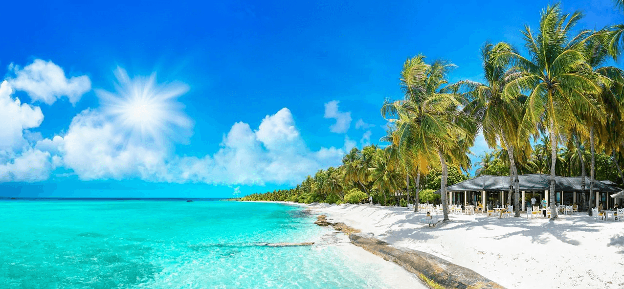 Votre compagnie de croisières préférée dans les Antilles et les Caraïbes - background banner